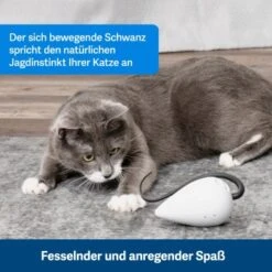 PetSafe Automatisches Katzenspielzeug RoloRat -ROYAL CANIN Verkäufe b65e953878b463eb5125c940634b84e8b7c79a3f 1351522 de DE 3daf7dbb27d01ce7d63f06677a32dd6cde28abb9X2tLJP