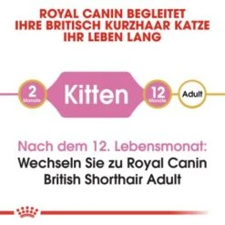 ROYAL CANIN British Shorthair Kitten 2 Kg -ROYAL CANIN Verkäufe b9dcf6abb7a4919bf6fc18b953f6e6aa3597ecf5 b5fbd35505db68c05c613e1187818406628392a1