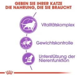 ROYAL CANIN Sterilised 7+ 3,5 Kg -ROYAL CANIN Verkäufe bad506aa9f742c4b53870473b9a42d0645843b9a 0541ce74412790df7091865e3d2c1d3bc1733d3d