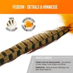 Schlitzohr Federwedel Birdy 3er Pack -ROYAL CANIN Verkäufe bdc9ecaec43f47b36019280ae7e788c534174412 1659562 de DE 36b11fb8804ed0ab3e1a5483fcd8be597379266daxQShR