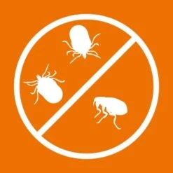 Ardap Spot-On Für Katzen S -ROYAL CANIN Verkäufe c00afedd838d70c54a5287206443466647f5dedf 1150895 de DE 216402434a597a152b5e3e2d02d3c041c3a61282I3NWL5