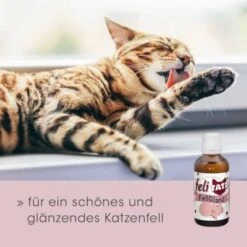 FeliTATZ FellGlanz -ROYAL CANIN Verkäufe c632389ff5554b3f77a4c07b5dcd4d35f428a2c1 1666313 de DE aef5012fb4dd575d53ef4492b6faf7c4f11752ddfl85CX