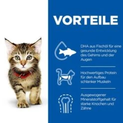 Hill's Science Plan Kitten Thunfisch 7 Kg -ROYAL CANIN Verkäufe c6fb28c1a799efc2b3725ee5b7be61613fad29ae 52742024431 4