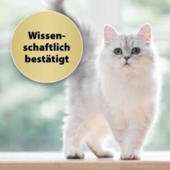 Felisept Home Comfort Nachfüller 45ml -ROYAL CANIN Verkäufe caf8bdd319326ad4f481de1e79b9c99dd7d55926 1667496 3