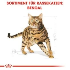 ROYAL CANIN Bengal Adult 10 Kg -ROYAL CANIN Verkäufe cb3c9b745b0cf6e86ca2308b544461de43105143 e7122eb5a9e8a316aad32423edb5418ecd6d24cd