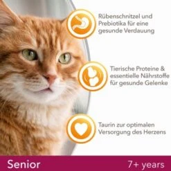 IAMS Vitality Senior Huhn 10kg -ROYAL CANIN Verkäufe ce3e26a6f175724598fdf6e2b7b6bc8f7fa047c6 d7ce23295bdb5edbb7f4edf686f630cb7b55a5fb