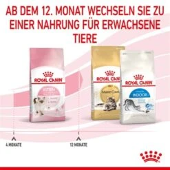ROYAL CANIN Kitten 4 Kg -ROYAL CANIN Verkäufe cf133300f1a1c045b6143772211651d61c06ad62 3182550702973 7