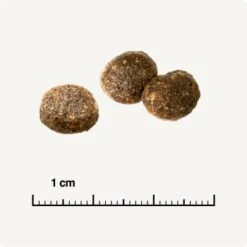 REAL NATURE WILDERNESS Adult Probierpaket Mixpaket 1, Mix-Pack -ROYAL CANIN Verkäufe d13ec079dfc733868201f90c68c1160fb8a8b3ec 1267094 de DE 6