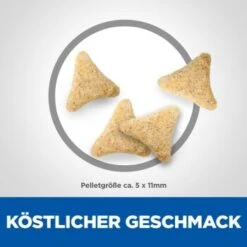 Hill's Science Plan Hairball Indoor Adult Mit Huhn 3 Kg -ROYAL CANIN Verkäufe d22915eed5f581b2aadd8692cf33e6afbd622437 52742024011 6