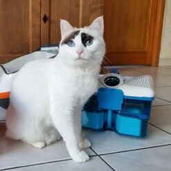 THOMAS Staubsauger -ROYAL CANIN Verkäufe d74e3cdb93ec3dcec33da8a346880210d1823b1e 1406733 de DE 817045830cc32e31da1f6ec74c9727ecafc6b086XIONN0