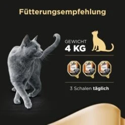 Sheba Classics In Pastete 22x85g Mit Ente & Huhn -ROYAL CANIN Verkäufe db3ddb8a2d5a3d236d7dcc9f93be382078be15f4 cfab620511bd0eb34d47d0f7770d3ab65b34729a