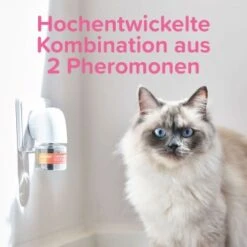 Beaphar CatComfort Excellence Starter-Kit 48ml -ROYAL CANIN Verkäufe dc9c523dc7185c6fb064dba2b9c7de82f17a2005 1416646 1 5