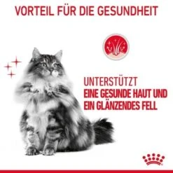 ROYAL CANIN Hair & Skin 12x85g In Soße -ROYAL CANIN Verkäufe e2d81ab81d31e0f585394370ccf8b63bb2844395 1099143 5