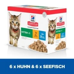 Hill's Science Plan Kitten Multipack Mit Huhn Und Seefisch 12x85 G -ROYAL CANIN Verkäufe e35e003d7953d268e4d7faa01f4ebc88bd9f0d6b 52742211503 3