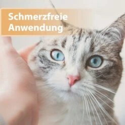 Felisept Wundgel 20ml -ROYAL CANIN Verkäufe e40e3e95a03fb00c1318f0e5b318422377d5a3ac 1396291 de DE e6f6116196c434f816ff510902765d32eaff788cDpbYBX