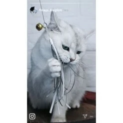 Kater Kasimir Premium Katzenangel Mit 4 Handgemachten Anhängern Aus Naturmaterial -ROYAL CANIN Verkäufe e6fe48d27b82d48675d665ee2a143e3c11de2fd9 1408150 de DE b29a5f7f2530ce6388e16e2600369d70b2ec0350kYn6B8