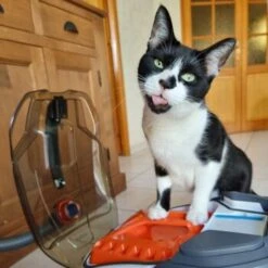 THOMAS Staubsauger -ROYAL CANIN Verkäufe e924a64d06d1776c60effa6ed643bd7a6c20fdca 1406733 de DE 08e20bea72feee79416abcd48fd6e6a61e2fc6eav4kQrJ