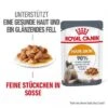 ROYAL CANIN Hair & Skin 12x85g In Soße -ROYAL CANIN Verkäufe f1a255aad6f944449acb2c6f5a3937572f3debf3 1099143 3