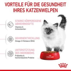 ROYAL CANIN Kitten 4 Kg -ROYAL CANIN Verkäufe f4a05d762cdc5e6b170f6edd236e6bd5b7278cb0 3182550702973 5