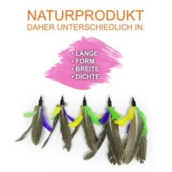 Schlitzohr Katzenangel Federanhänger 5x -ROYAL CANIN Verkäufe f6a96b93601c3b2f6f7420ade3ecfe56542cca74 1484675 de DE b1d2fd29ad67016b9a6af908251d348edfa467f2BG8aWR