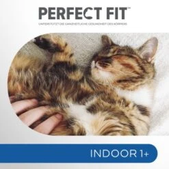 PERFECT FIT Beutel Indoor 1+ Huhn 5x1,4 Kg -ROYAL CANIN Verkäufe f89e95b65e2c59af18736d04672e37eab3ee6322 1002911003 4