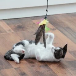 Schlitzohr Katzenangel Federanhänger 5x -ROYAL CANIN Verkäufe fb09936ea9d25b4ceb7b2f0b88286c91e6ede665 1484675 de DE 706999394aba568bf156a2aea623d154b845a9f55pZfqW